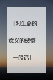 对生命的意义的感悟一段话