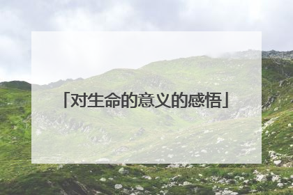 对生命的意义的感悟