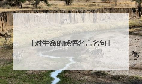 对生命的感悟名言名句
