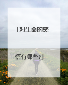 对生命的感悟有哪些?