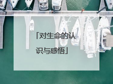 对生命的认识与感悟