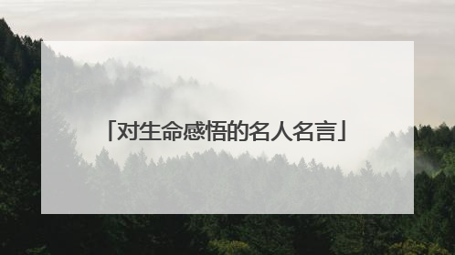对生命感悟的名人名言