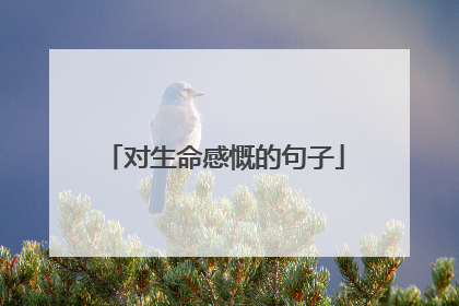 对生命感慨的句子