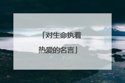 对生命执着热爱的名言