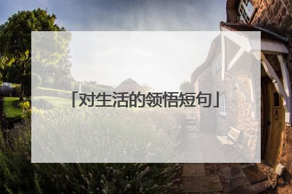 对生活的领悟短句