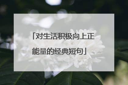 对生活积极向上正能量的经典短句