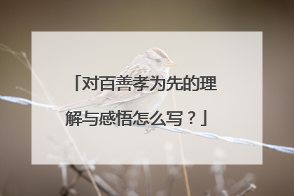对百善孝为先的理解与感悟怎么写？