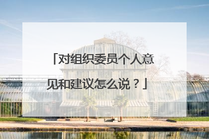 对组织委员个人意见和建议怎么说?
