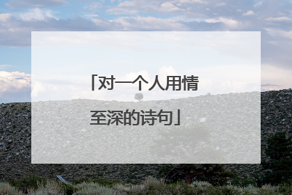 对一个人用情至深的诗句