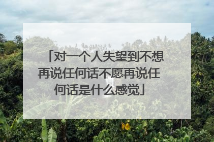 对一个人失望到不想再说任何话不愿再说任何话是什么感觉