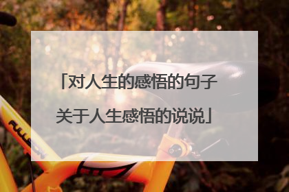 对人生的感悟的句子 关于人生感悟的说说