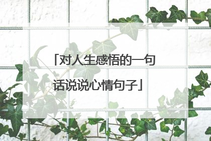 对人生感悟的一句话说说心情句子