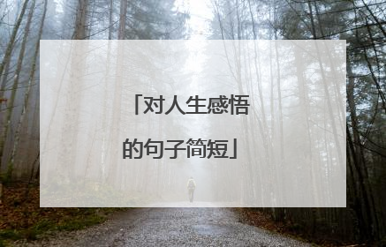 对人生感悟的句子简短