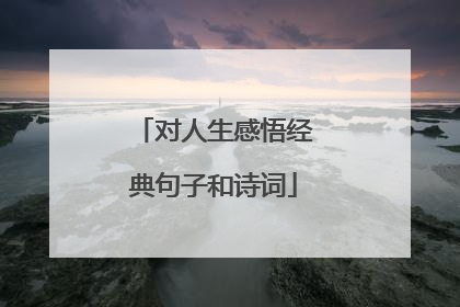 对人生感悟经典句子和诗词
