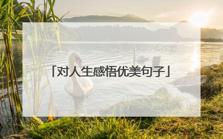 对人生感悟优美句子