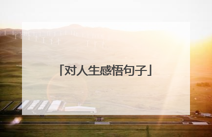 对人生感悟句子