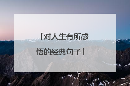 对人生有所感悟的经典句子