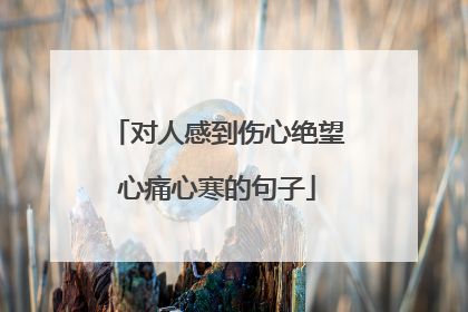对人感到伤心绝望心痛心寒的句子