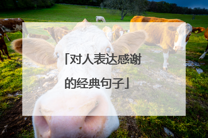 对人表达感谢的经典句子