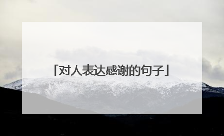 对人表达感谢的句子