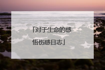 对于生命的感悟伤感日志
