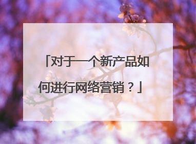 对于一个新产品如何进行网络营销?