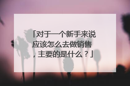 对于一个新手来说 应该怎么去做销售，主要的是什么？