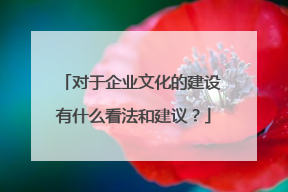 对于企业文化的建设有什么看法和建议？