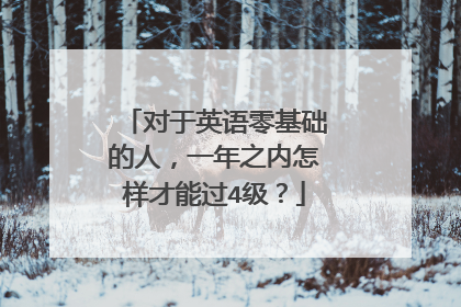 对于英语零基础的人，一年之内怎样才能过4级？