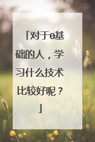 对于0基础的人，学习什么技术比较好呢？