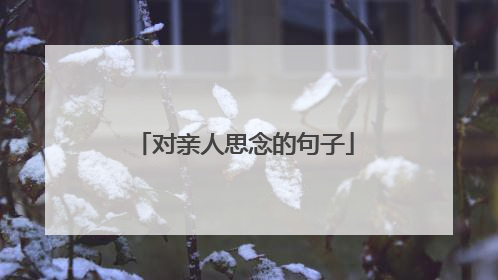 对亲人思念的句子