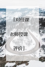 对任课老师授课评价
