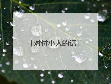 对付小人的话