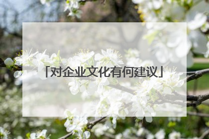对企业文化有何建议