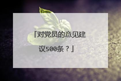 对党员的意见建议500条?