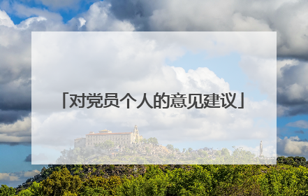 对党员个人的意见建议