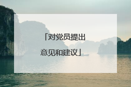 对党员提出意见和建议