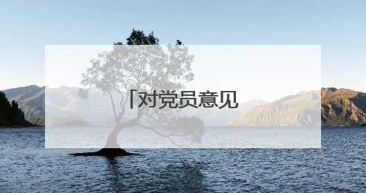 对党员意见建议汇总