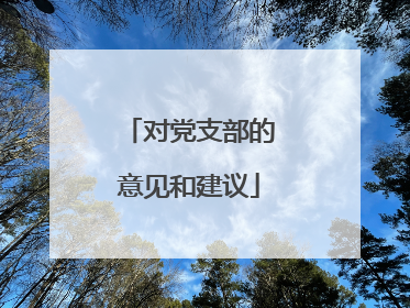 对党支部的意见和建议