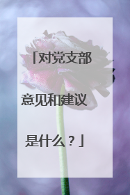对党支部意见和建议是什么?