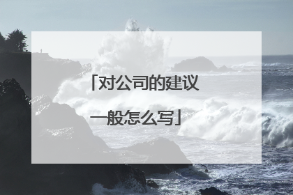 对公司的建议一般怎么写