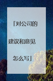 对公司的建议和意见怎么写