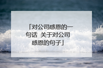 对公司感恩的一句话 关于对公司感恩的句子