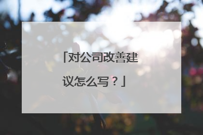对公司改善建议怎么写？