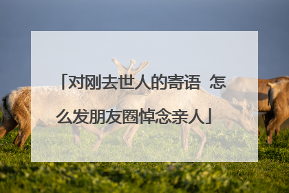 对刚去世人的寄语 怎么发朋友圈悼念亲人