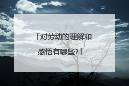对劳动的理解和感悟有哪些?