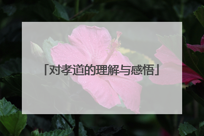 对孝道的理解与感悟