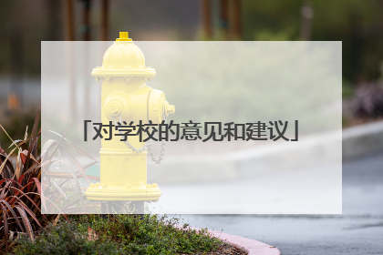 对学校的意见和建议