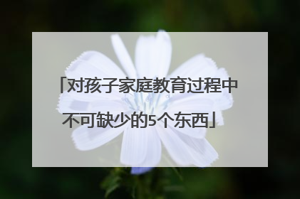 对孩子家庭教育过程中不可缺少的5个东西