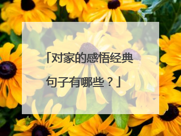 对家的感悟经典句子有哪些?